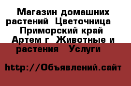 Магазин домашних растений “Цветочница“ - Приморский край, Артем г. Животные и растения » Услуги   